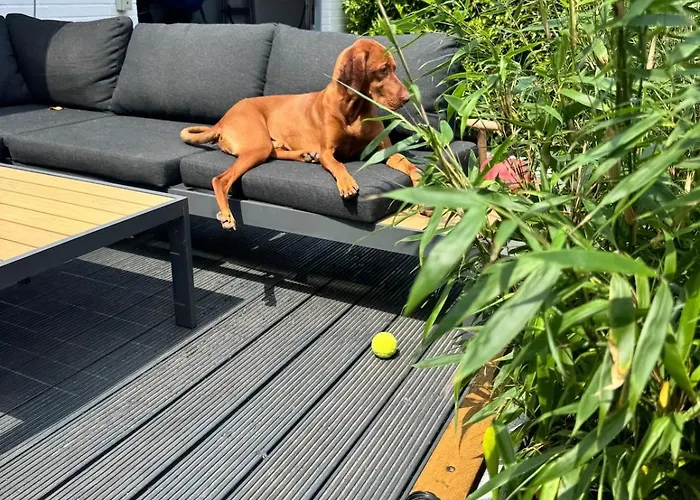 Haus Mit Drei Schlafzimmern Und Garten Bruggen (Viersen)